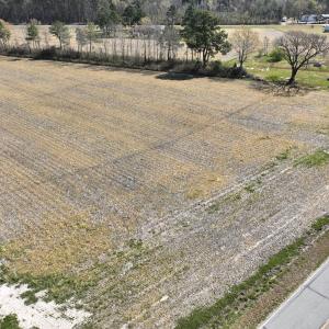 Photo #9 of SOLD property in Off Sladesville Credle Road, Scranton, NC 7.7 acres