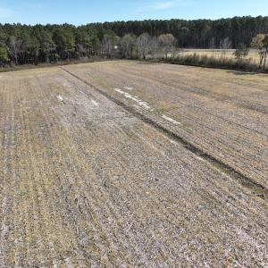 Photo #13 of SOLD property in Off Sladesville Credle Road, Scranton, NC 7.7 acres