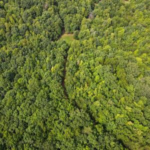 Photo #11 of SOLD property in OFF Deer Haven Dr, Callands, VA 74.5 acres