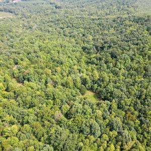 Photo #15 of SOLD property in OFF Deer Haven Dr, Callands, VA 74.5 acres