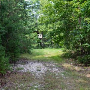 Photo #16 of SOLD property in OFF Deer Haven Dr, Callands, VA 74.5 acres