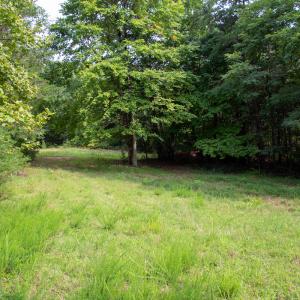 Photo #17 of SOLD property in OFF Deer Haven Dr, Callands, VA 74.5 acres