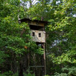 Photo #18 of SOLD property in OFF Deer Haven Dr, Callands, VA 74.5 acres