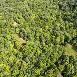 Photo #19 of SOLD property in OFF Deer Haven Dr, Callands, VA 74.5 acres