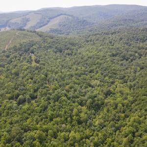 Photo #2 of SOLD property in OFF Deer Haven Dr, Callands, VA 74.5 acres
