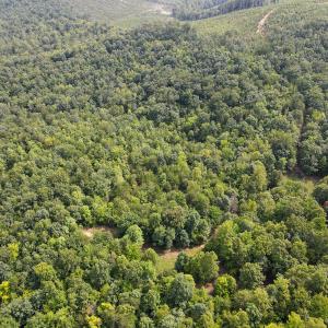 Photo #20 of SOLD property in OFF Deer Haven Dr, Callands, VA 74.5 acres