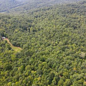 Photo #3 of SOLD property in OFF Deer Haven Dr, Callands, VA 74.5 acres