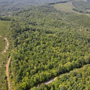 Photo #4 of SOLD property in OFF Deer Haven Dr, Callands, VA 74.5 acres