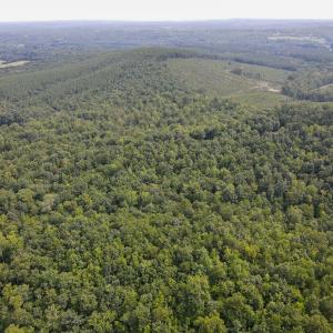 Photo #26 of SOLD property in OFF Deer Haven Dr, Callands, VA 74.5 acres