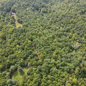 Photo #27 of SOLD property in OFF Deer Haven Dr, Callands, VA 74.5 acres