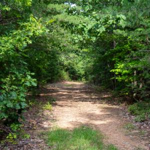 Photo #28 of SOLD property in OFF Deer Haven Dr, Callands, VA 74.5 acres