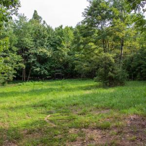 Photo #29 of SOLD property in OFF Deer Haven Dr, Callands, VA 74.5 acres