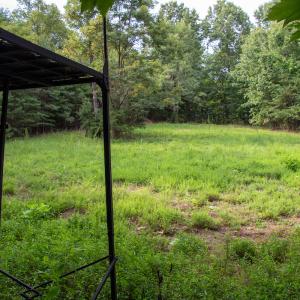 Photo #30 of SOLD property in OFF Deer Haven Dr, Callands, VA 74.5 acres