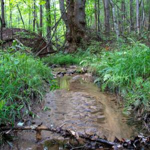Photo #32 of SOLD property in OFF Deer Haven Dr, Callands, VA 74.5 acres