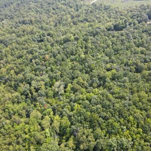 Photo #33 of SOLD property in OFF Deer Haven Dr, Callands, VA 74.5 acres
