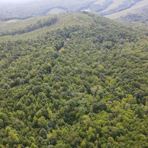 Photo #34 of SOLD property in OFF Deer Haven Dr, Callands, VA 74.5 acres