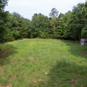 Photo #35 of SOLD property in OFF Deer Haven Dr, Callands, VA 74.5 acres