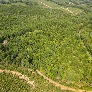 Photo #37 of SOLD property in OFF Deer Haven Dr, Callands, VA 74.5 acres