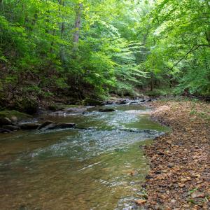 Photo #11 of SOLD property in Off Nicole Dr, Martinsville, VA 35.1 acres