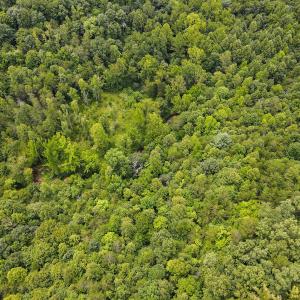 Photo #12 of SOLD property in Off Nicole Dr, Martinsville, VA 35.1 acres