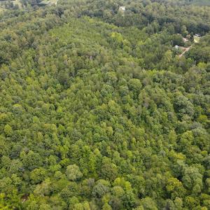 Photo #13 of SOLD property in Off Nicole Dr, Martinsville, VA 35.1 acres