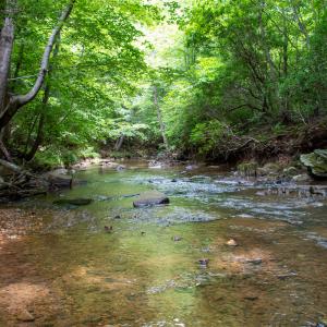 Photo #16 of SOLD property in Off Nicole Dr, Martinsville, VA 35.1 acres