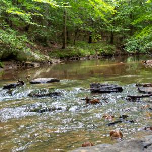 Photo #17 of SOLD property in Off Nicole Dr, Martinsville, VA 35.1 acres