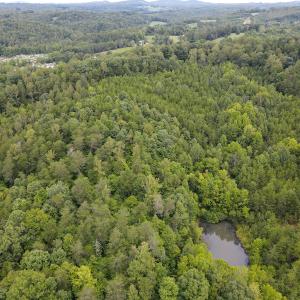 Photo #18 of SOLD property in Off Nicole Dr, Martinsville, VA 35.1 acres