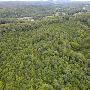 Photo #2 of SOLD property in Off Nicole Dr, Martinsville, VA 35.1 acres