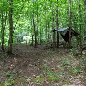 Photo #20 of SOLD property in Off Nicole Dr, Martinsville, VA 35.1 acres
