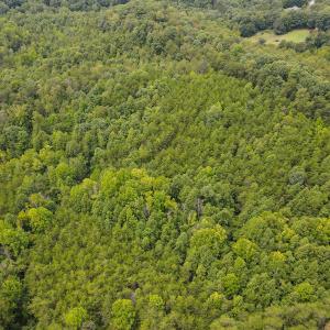 Photo #3 of SOLD property in Off Nicole Dr, Martinsville, VA 35.1 acres