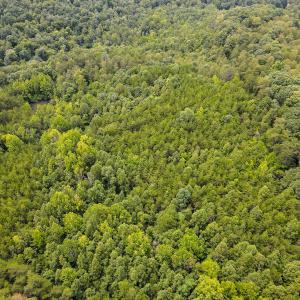 Photo #4 of SOLD property in Off Nicole Dr, Martinsville, VA 35.1 acres