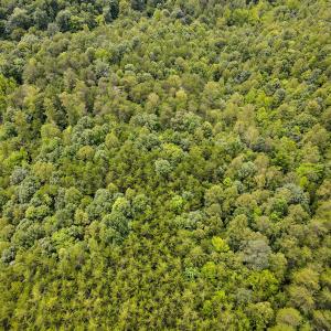Photo #5 of SOLD property in Off Nicole Dr, Martinsville, VA 35.1 acres