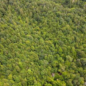 Photo #8 of SOLD property in Off Nicole Dr, Martinsville, VA 35.1 acres