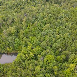 Photo #24 of SOLD property in Off Nicole Dr, Martinsville, VA 35.1 acres