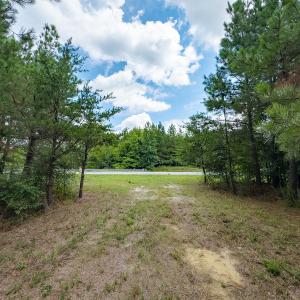 Photo #5 of Off NC Highway 86 North, Providence, NC 13.8 acres
