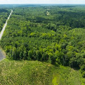 Photo #6 of Off NC Highway 86 North, Providence, NC 13.8 acres