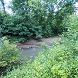 Photo #9 of Off NC Highway 86 North, Providence, NC 13.8 acres