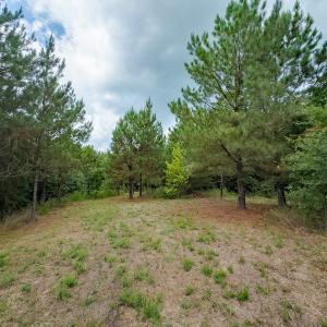 Photo #12 of Off NC Highway 86 North, Providence, NC 13.8 acres