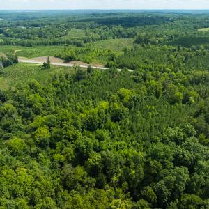 Photo #14 of Off NC Highway 86 North, Providence, NC 13.8 acres