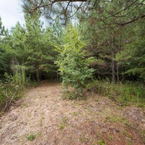Photo #27 of Off NC Highway 86 North, Providence, NC 13.8 acres