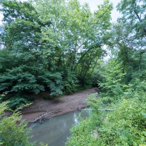Photo #29 of Off NC Highway 86 North, Providence, NC 13.8 acres