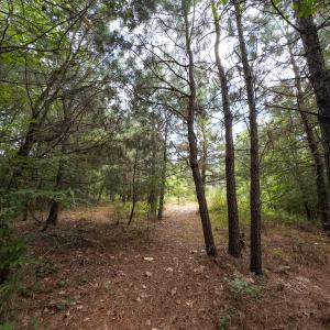 Photo #31 of Off NC Highway 86 North, Providence, NC 13.8 acres