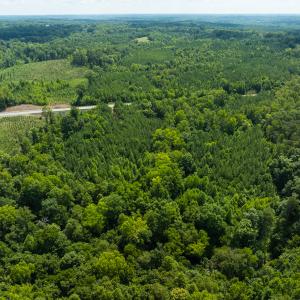 Photo #34 of Off NC Highway 86 North, Providence, NC 13.8 acres