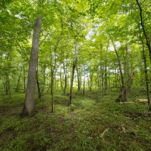 Photo #36 of Off NC Highway 86 North, Providence, NC 13.8 acres