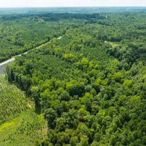 Photo #39 of Off NC Highway 86 North, Providence, NC 13.8 acres