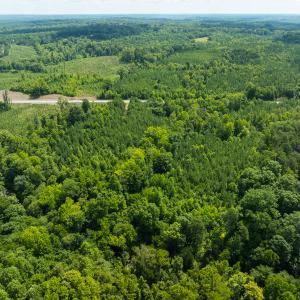 Photo #47 of Off NC Highway 86 North, Providence, NC 13.8 acres