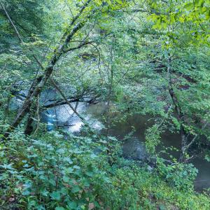 Photo #48 of Off NC Highway 86 North, Providence, NC 13.8 acres