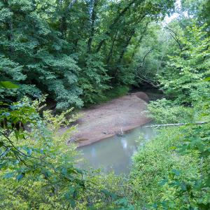 Photo #50 of Off NC Highway 86 North, Providence, NC 13.8 acres