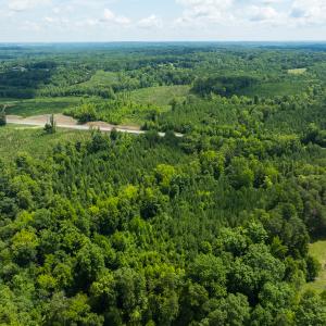 Photo #51 of Off NC Highway 86 North, Providence, NC 13.8 acres